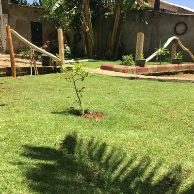 Humphrey home stay