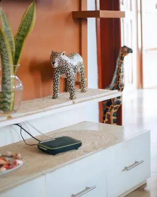 a shelf with a figurine of a giraffe on it at Arusha 2bedroom in Arusha