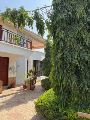 a large tree in front of a building with plants at Afrika Royal Safari in Arusha